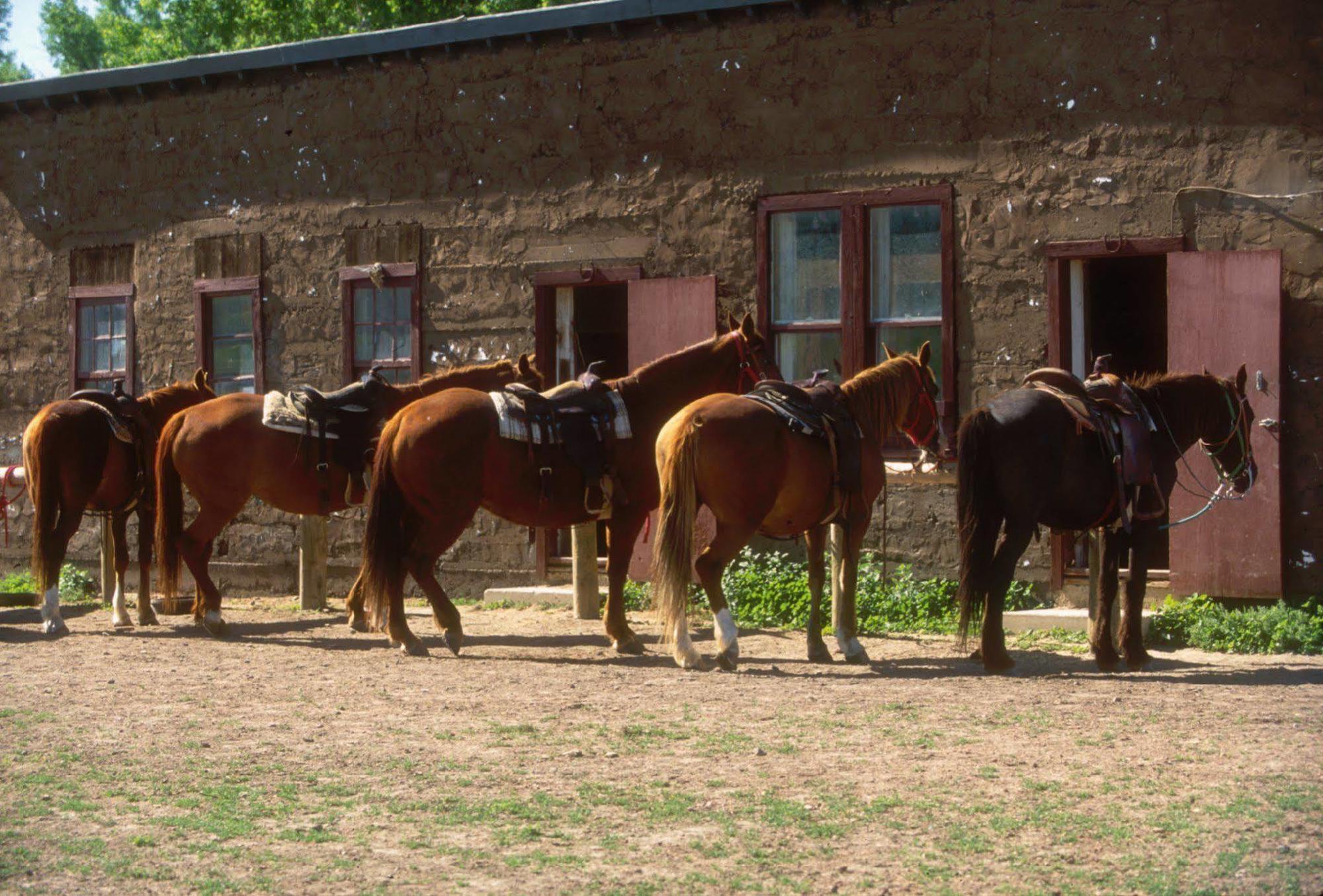 The Ranch At Ucross Hotel Exterior photo